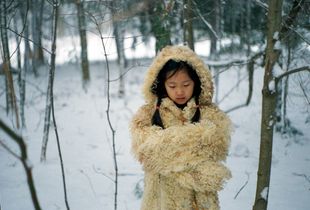 Winter Winds