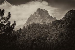 Corsica
