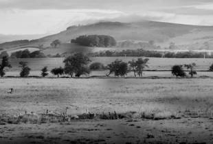 landscape evening