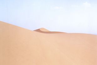 LS V #67