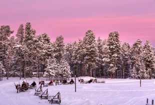 finnish arctic colors