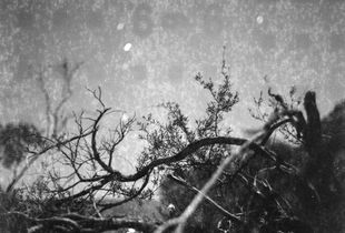 Moondust