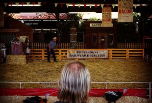 Turkey Race, L.A. County Fair.