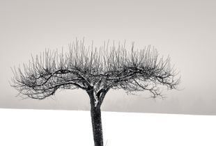 Reaching