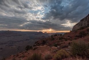 Golden Sunrise