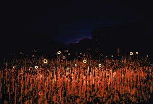 © Tamara Rafkin