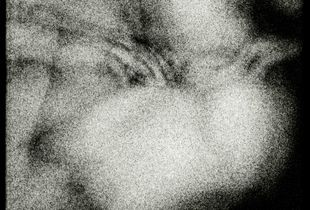 Delusions # 1