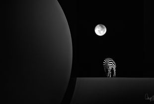 Full Moon Fantasy