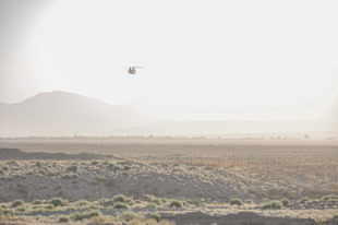 Through the Haze