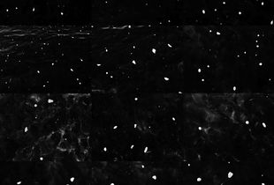 Celestial Mapping © Keith Johnson
