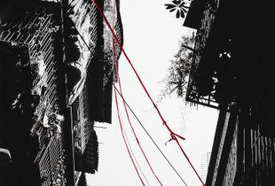 Link© Kuok Hou Tang