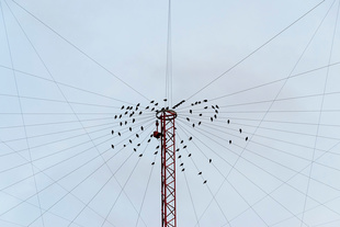 Geometrie della natura e della finzione