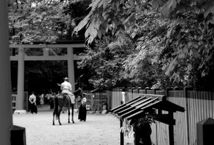 shimogamo shrinekyoto