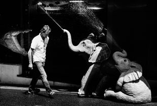 L'homme aux éléphants et au croco