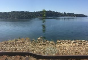 Rail, Tree, Water, Sky