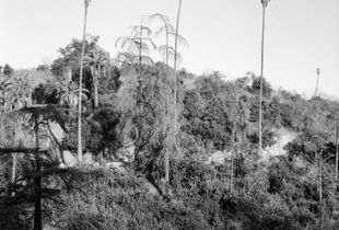 Los Angeles (Plate 1), 2019