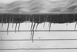 Around the House, Winter © Abbey Box