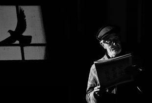 "Wanderer above the ground", Porto 2018.
