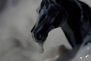 A Slippery Hanoverian Stallion, From The Series "Sacrifice"@ DongwookLee, 2011