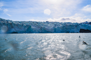 Svalbard Glacier