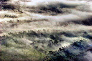 Misty Long Shadows