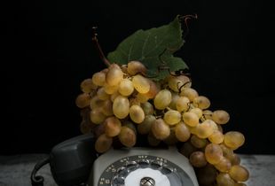 Grapes (6000 B.C.) and Telephone (1970's)