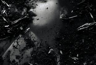 La petite morte