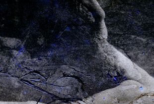 The Natural order-14