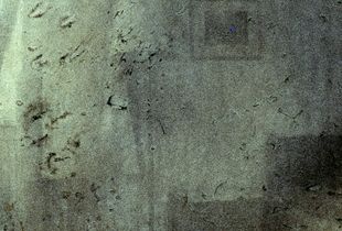 Left behind. Fragments. 11