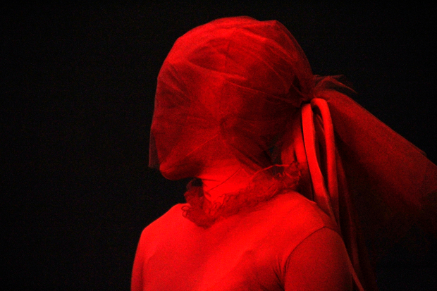 Veiled Beauty