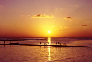 Low tide