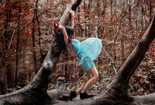 In and Out of Woods