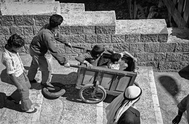 Kids in the Cart