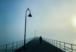 Out of the Fog