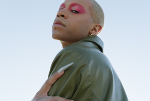 The Man Who Fell to Earth