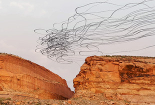 Lockdown Vultures (Moab Slope)