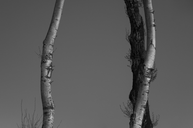 Theatre-6