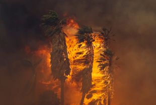 Thomas Fire - Faria Beach