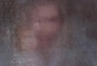 The Memory of the woods