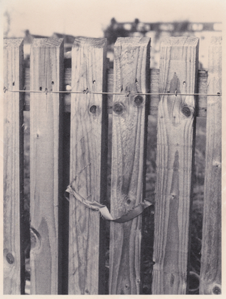 Fence with Silk Ribbon