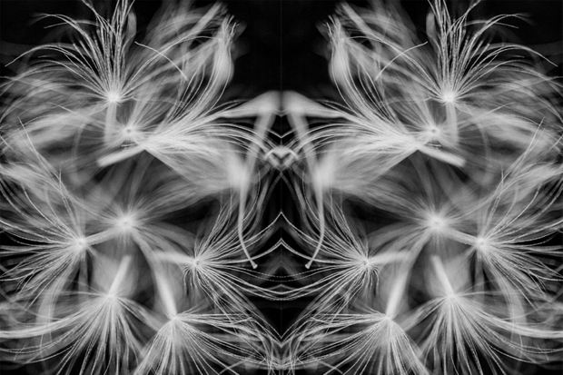 Pareidolia Effect