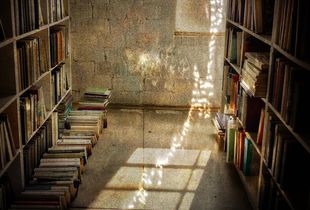 bookstore