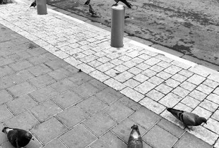 Walk the line