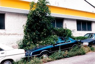 Valira Drive  8