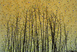 Artificial Stars Seen Through the Trees