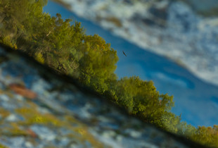 Soaring Over the River