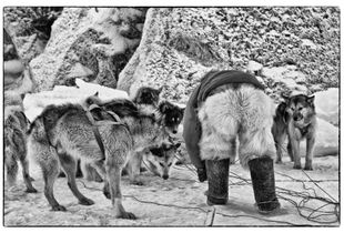 Inuit. Skins