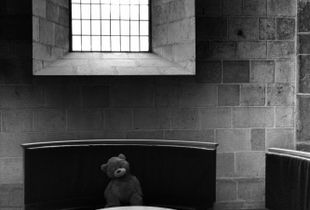 Teddy has his seat by a window