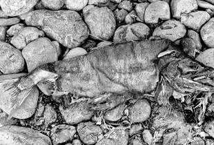 All That Remains