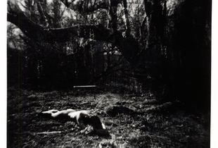 © Katrina Evans